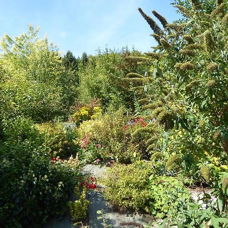 Dans Un Jardin Villa Apremont-la-Foret ภายนอก รูปภาพ