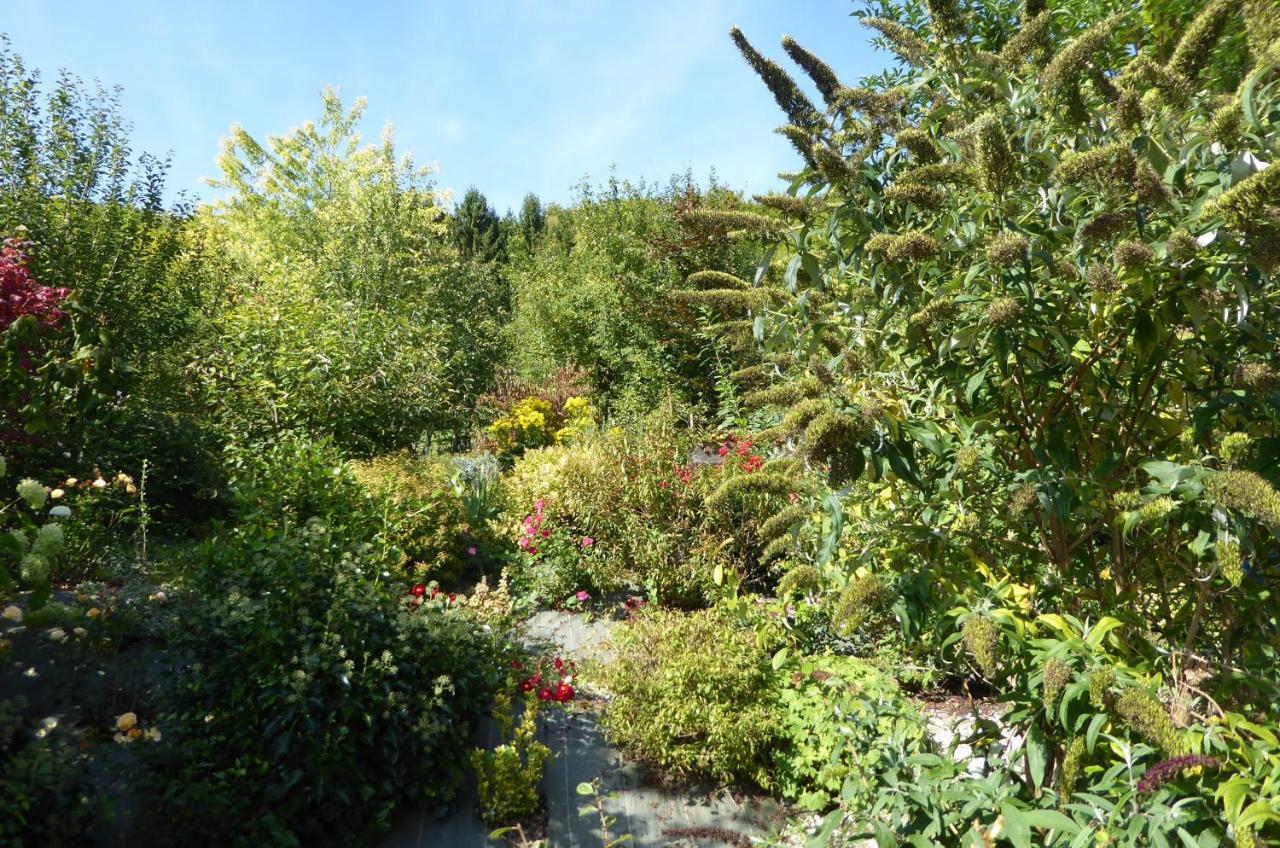 Dans Un Jardin Villa Apremont-la-Foret ภายนอก รูปภาพ